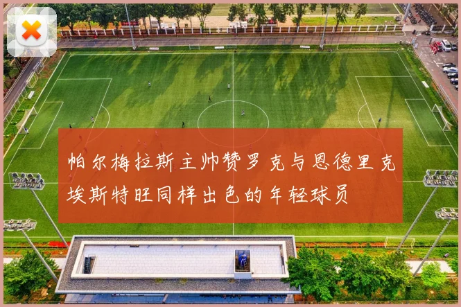 帕尔梅拉斯主帅赞罗克与恩德里克埃斯特旺同样出色的年轻球员