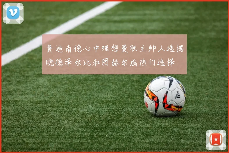 费迪南德心中理想曼联主帅人选揭晓德泽尔比和图赫尔成热门选择