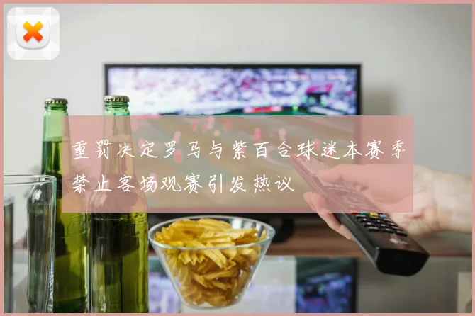 重罚决定罗马与紫百合球迷本赛季禁止客场观赛引发热议