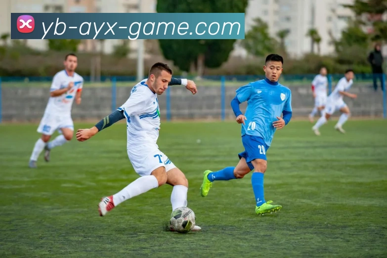 爱游戏发展历程