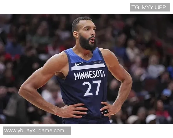 芬奇透露戈贝尔明天能战灰熊华子出战仍存疑虑